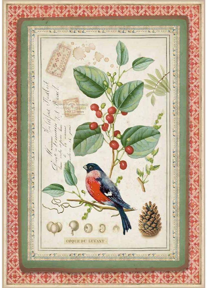 Stamperia Rice Paper A4 - Winter Botanic Little Bird on Holly (DFSA4326)