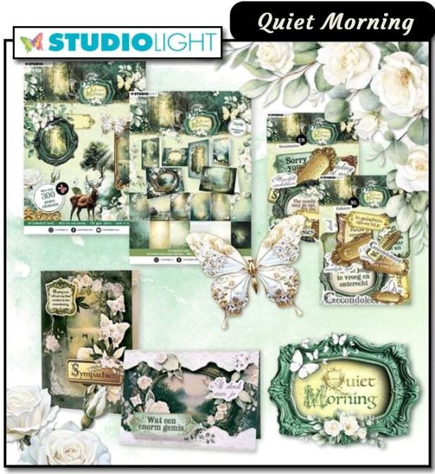 Studio Light Quiet Morning