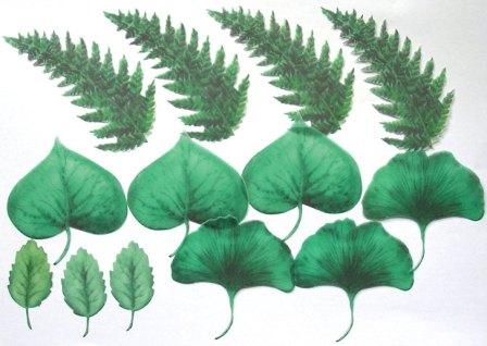 Vellum Die Cuts - Pressed Leaves