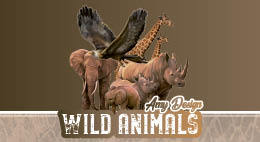 Amy Design Wild Animals