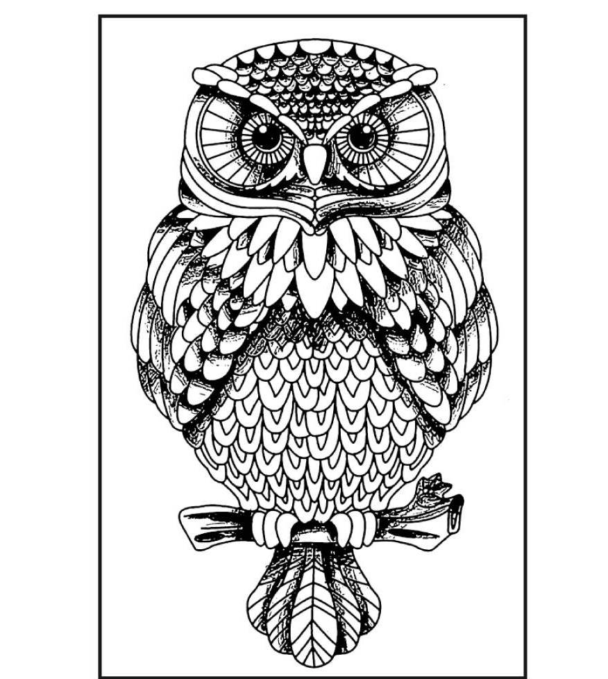 Stamperia Natural Rubber Stamps Owl (WTKCC130)